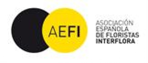 aefi.jpg