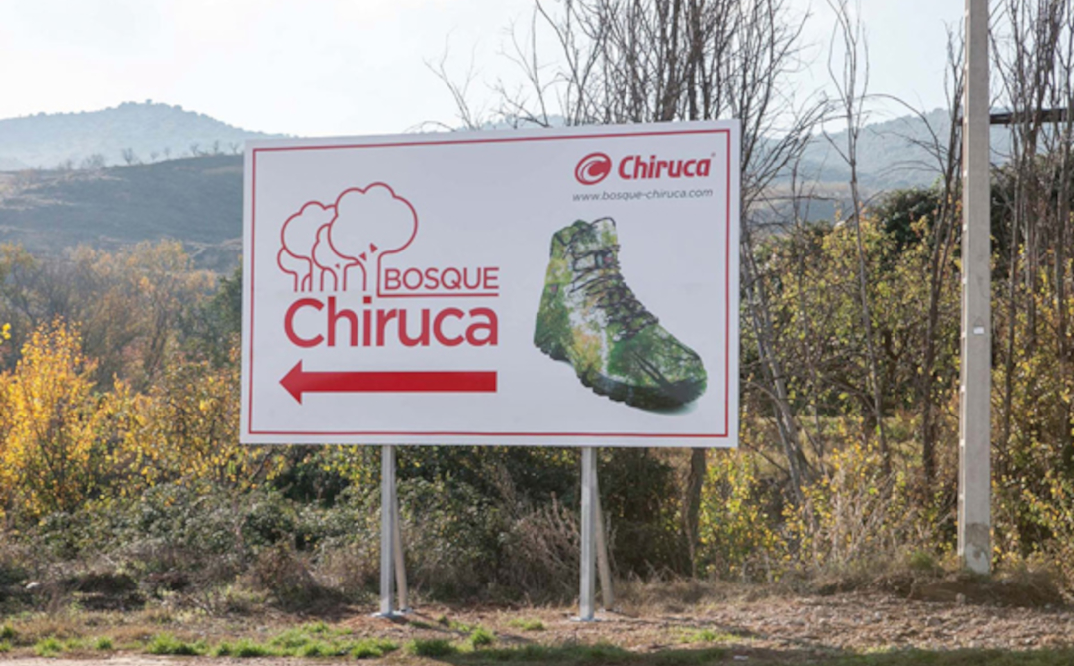 Bosque Chiruca
