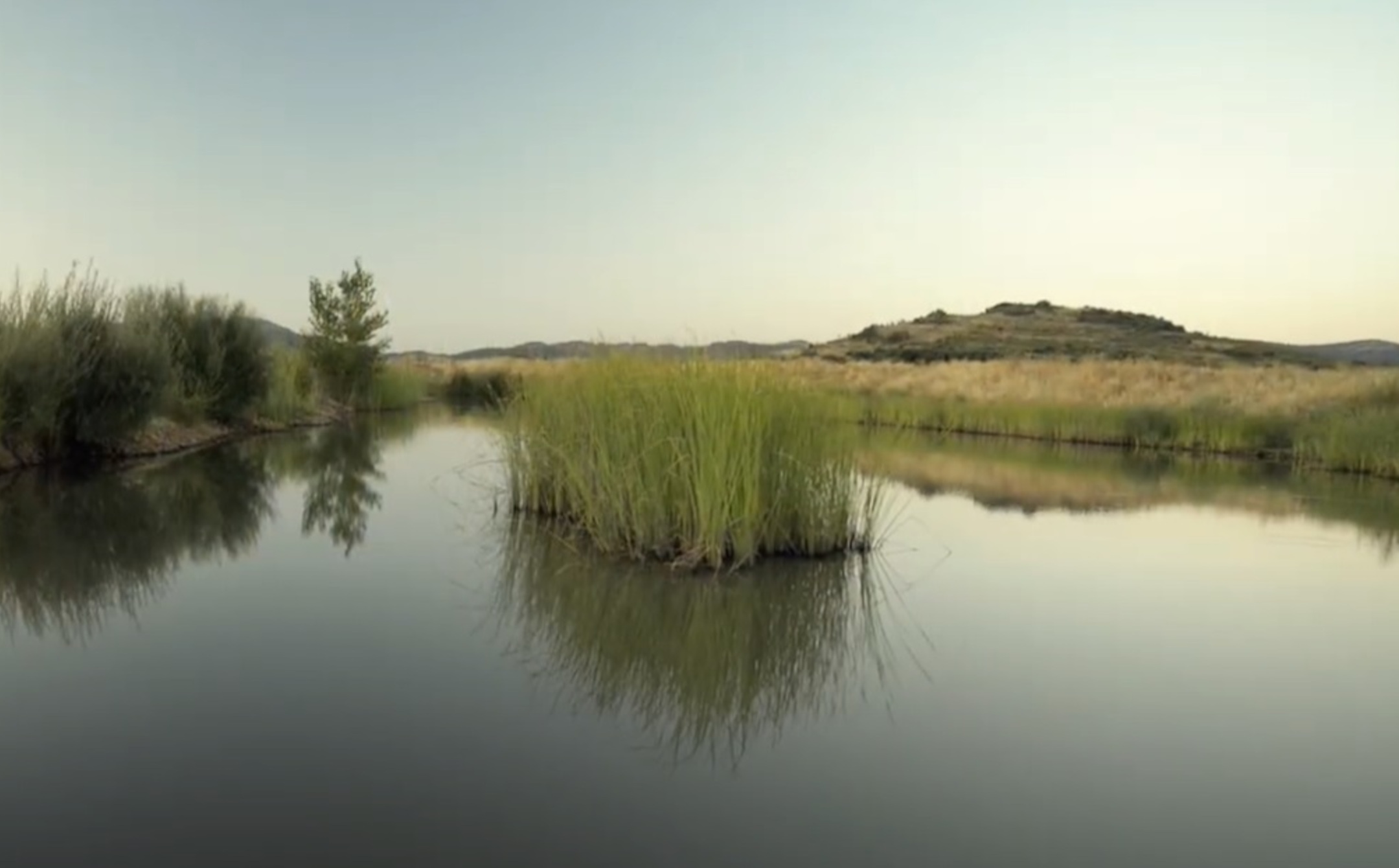 Rehabilitación de la gravera del Charco del Tamujo