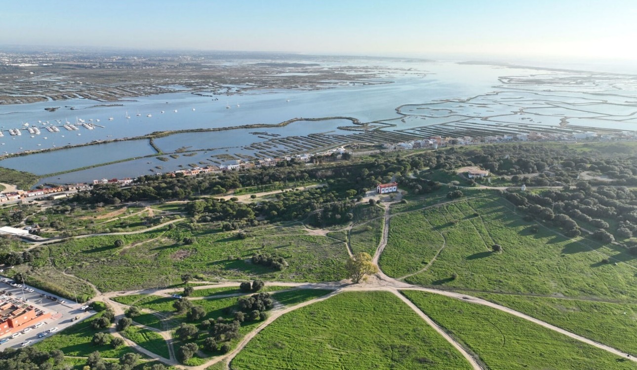 Vista aérea de una zona costera con amplias áreas verdes en primer plano, caminos de tierra que se cruzan y una pequeña edificación blanca y roja entre los árboles. Al fondo se observan marismas, canales de agua y un puerto con embarcaciones, todo bajo un cielo despejado.