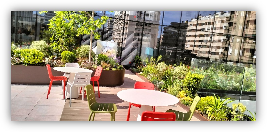 Terraza con mesas y sillas de colores rodeada de plantas, con edificios reflejados en una pared de vidrio.