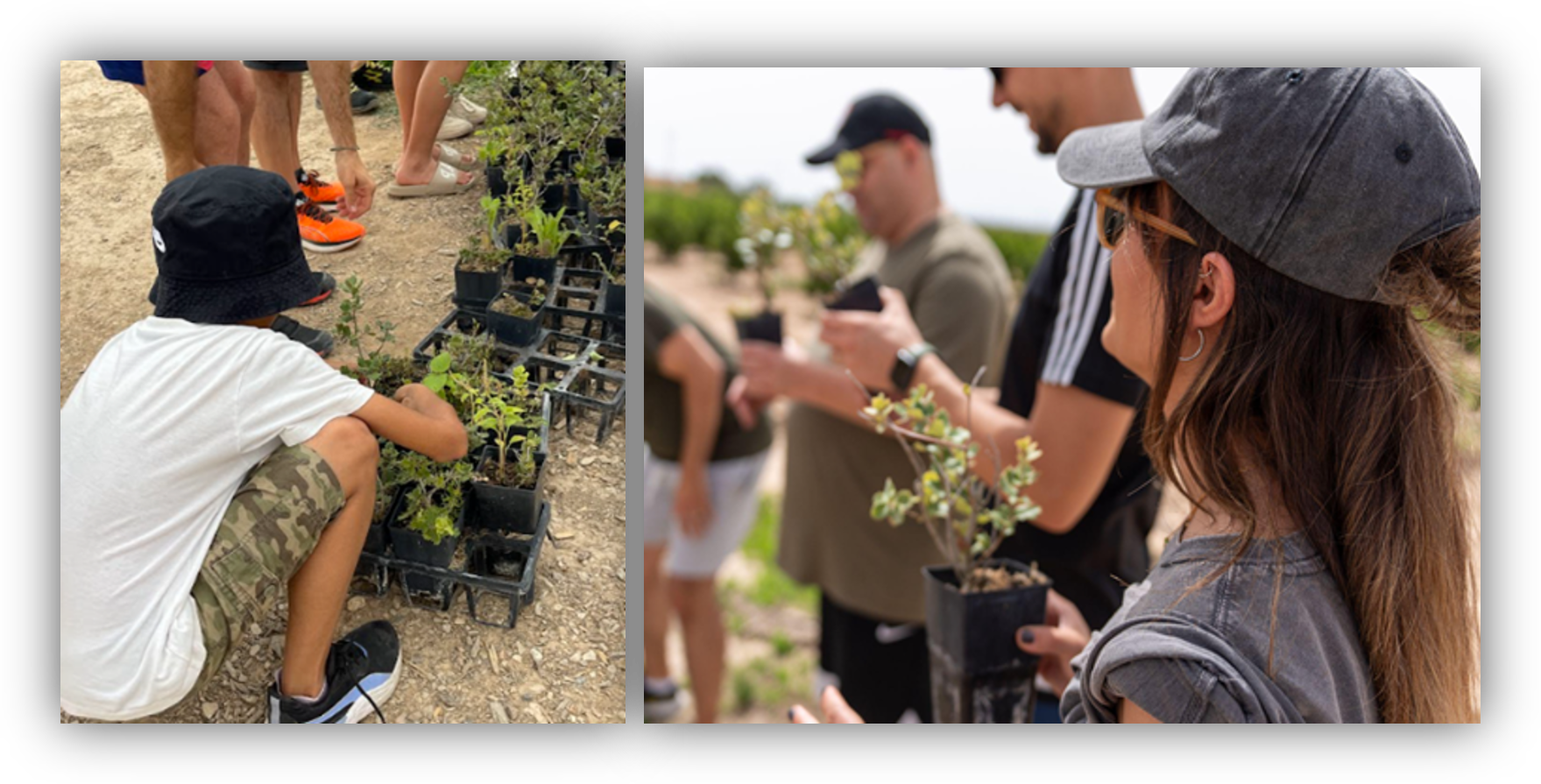Personas participan en una actividad de reforestación manipulando plantas jóvenes en un entorno natural.