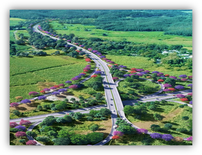 Vista aérea de una carretera que atraviesa un paisaje natural con vegetación y filas de árboles de colores a ambos lados.