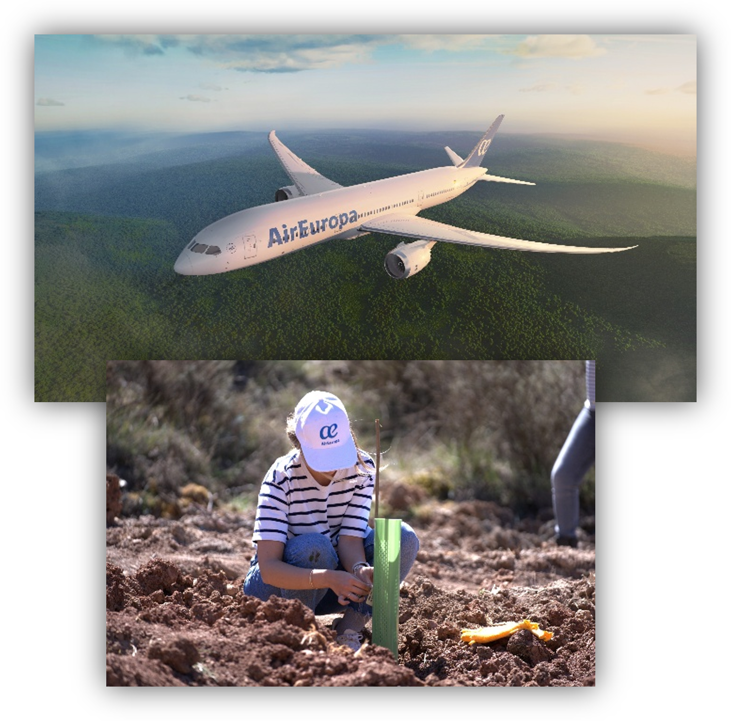 Avión de Air Europa volando sobre un paisaje natural y, debajo, una persona plantando un árbol en una actividad de reforestación.