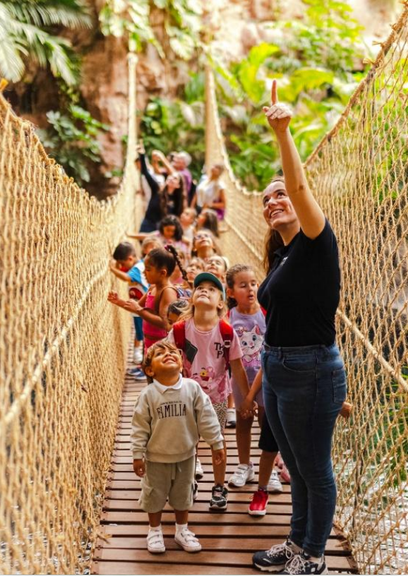 Un adulto y varios niños cruzan un puente colgante de cuerdas en un entorno natural. El adulto señala hacia arriba y los niños observan con curiosidad, rodeados de vegetación y rocas.