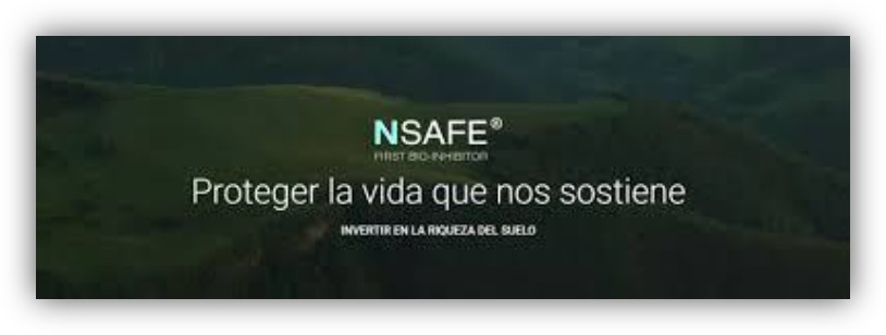 Imagen corporativa de NSAFE con el mensaje ‘Proteger la vida que nos sostiene’ sobre un fondo de paisaje natural en tonos verdes.