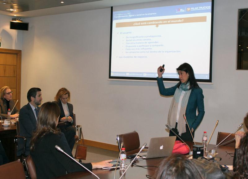 media-file-203-proyecto-promociona.jpg media-file-203-proyecto-promociona.jpg