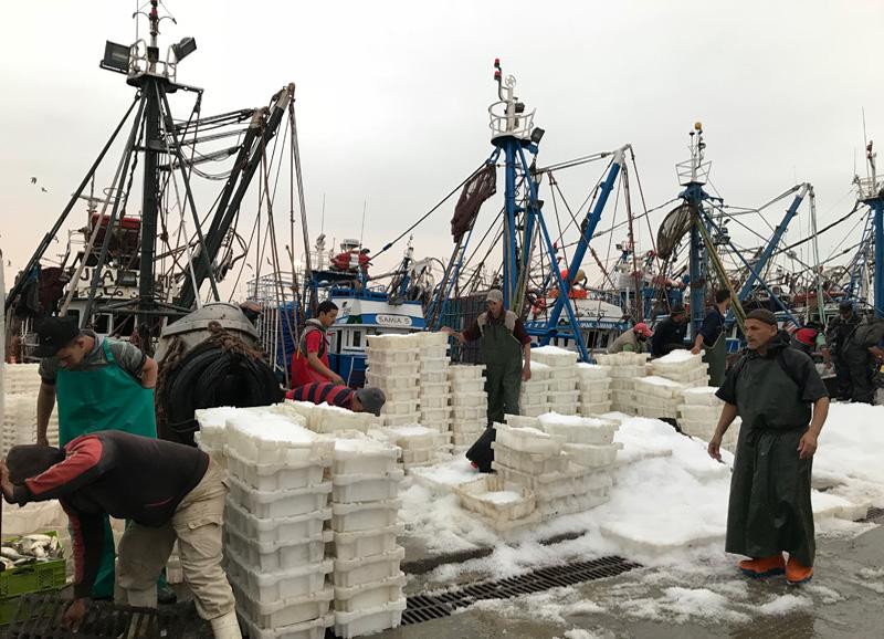 media-file-3673-cepesca-lamenta-que-no-se-haya-alcanzado-consenso-para-renovar-el-acuerdo-de-pesca-ue-marruecos.jpg media-file-3673-cepesca-lamenta-que-no-se-haya-alcanzado-consenso-para-renovar-el-acuerdo-de-pesca-ue-marruecos.jpg