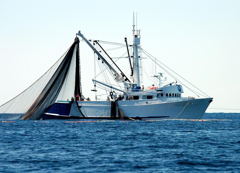 media-file-1747-cepesca-brexit.jpg media-file-1747-cepesca-brexit.jpg