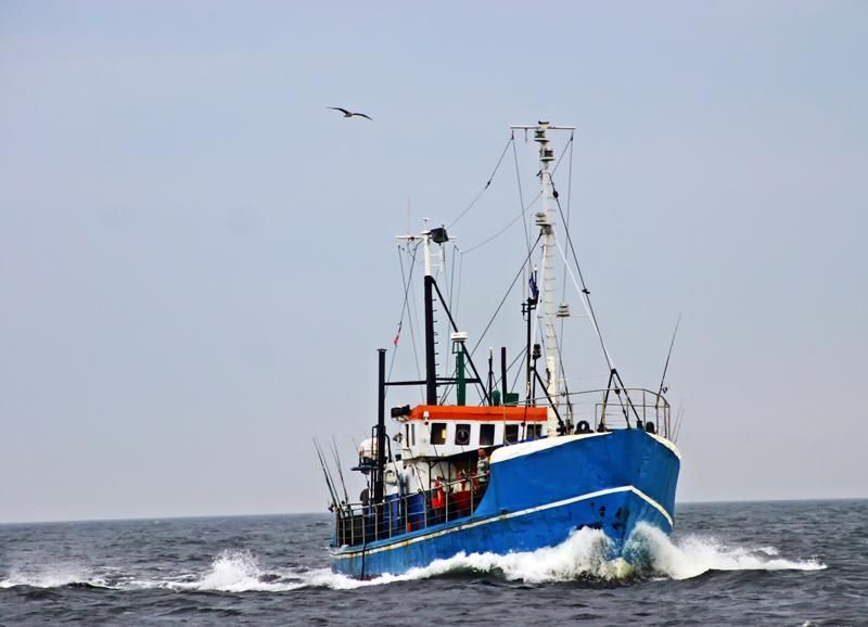 media-file-1562-cepesca.jpg media-file-1562-cepesca.jpg