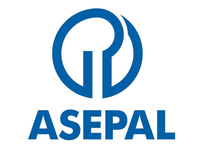 media-file-4951-asepal.jpg