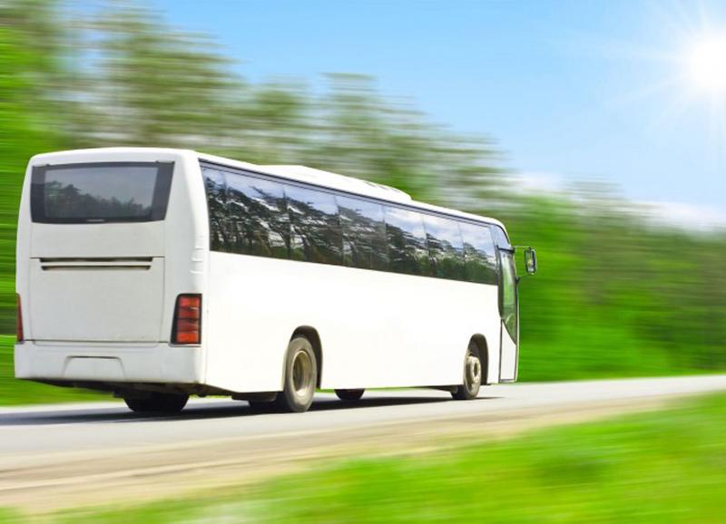 media-file-1081-confebus-2a-curso-verano-autocar-blanco.jpg