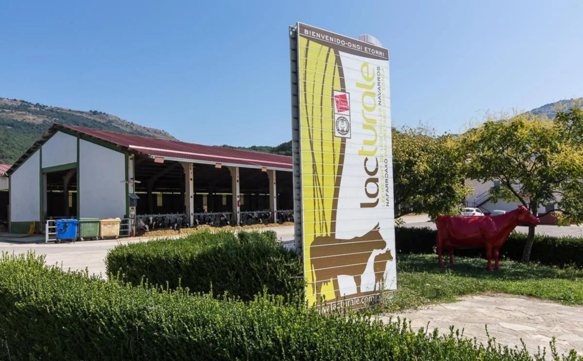 Grupo Lacturale