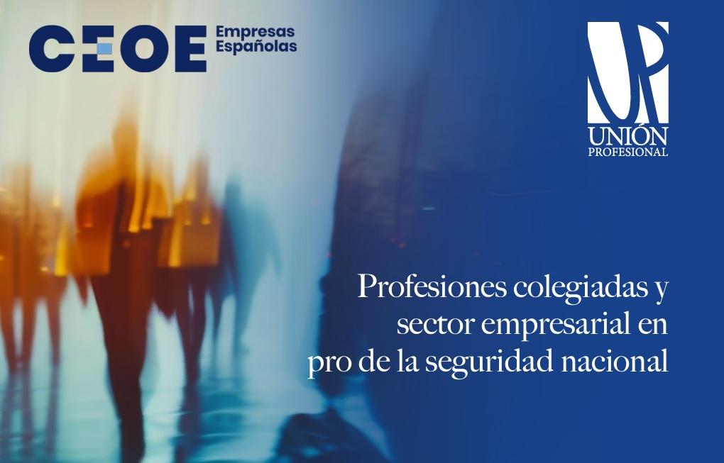 Profesiones colegiadas y sector empresarial en pro de la seguridad nacional