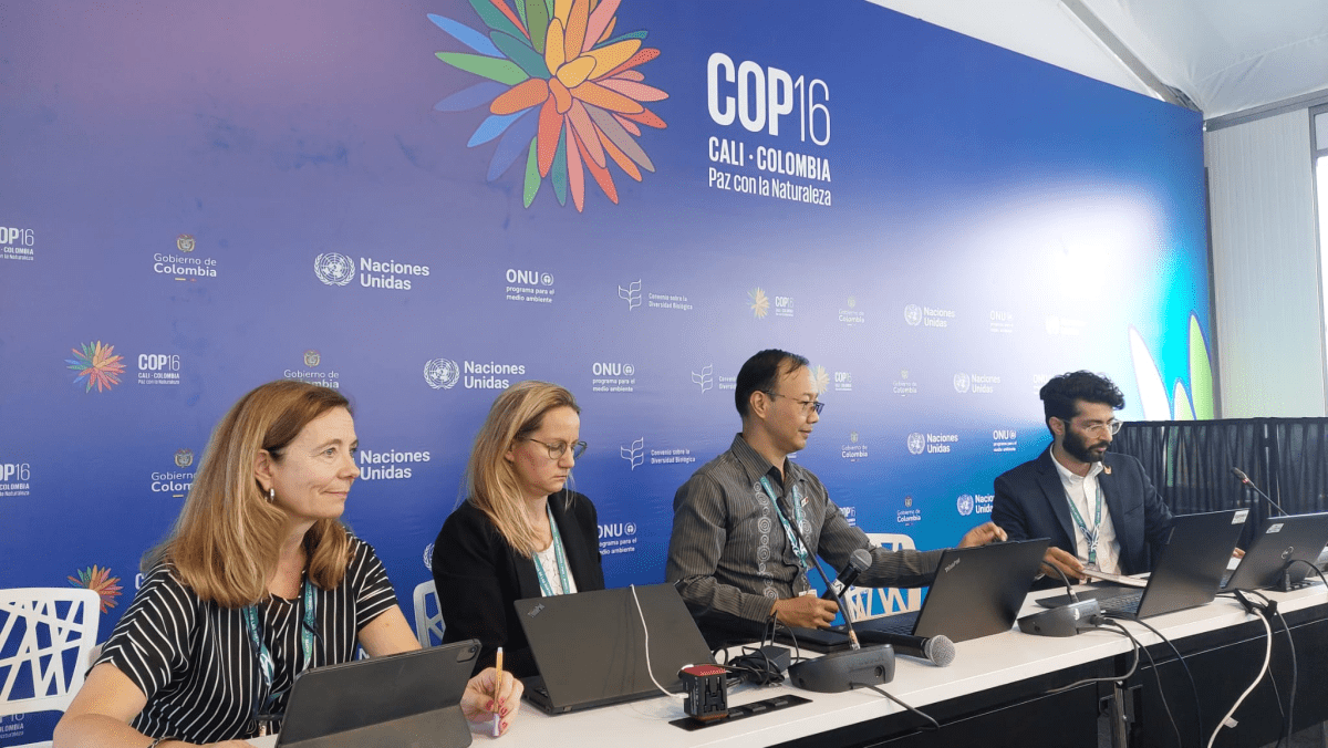 COP 16