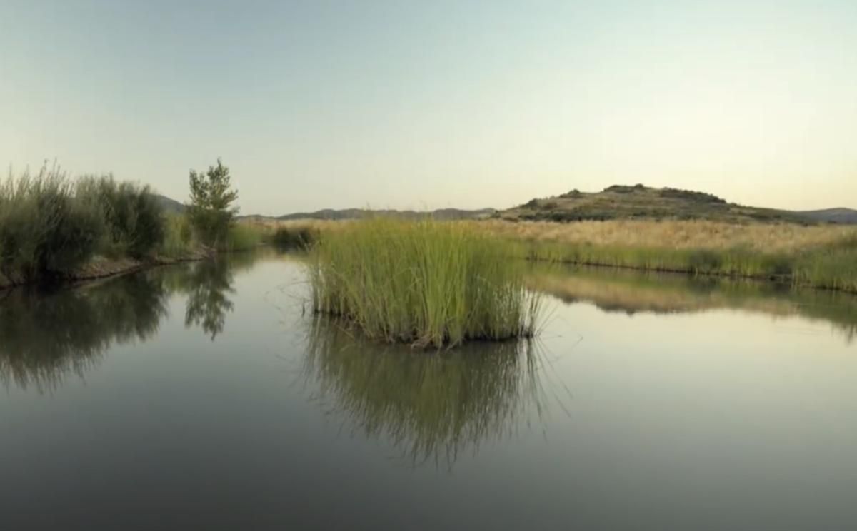 Rehabilitación de la gravera del Charco del Tamujo
