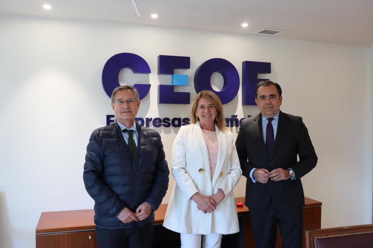 Incorporación Sisteplant