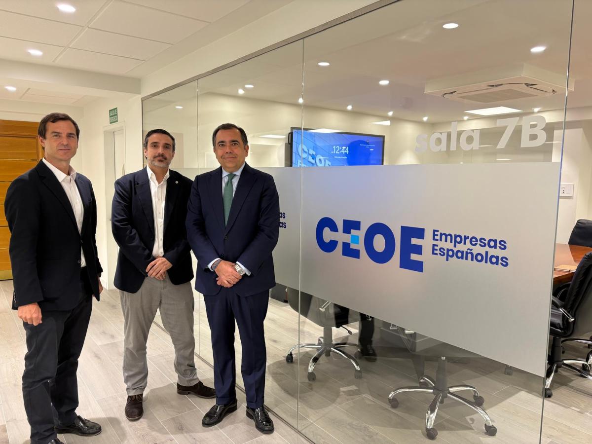 incorporación gvc
