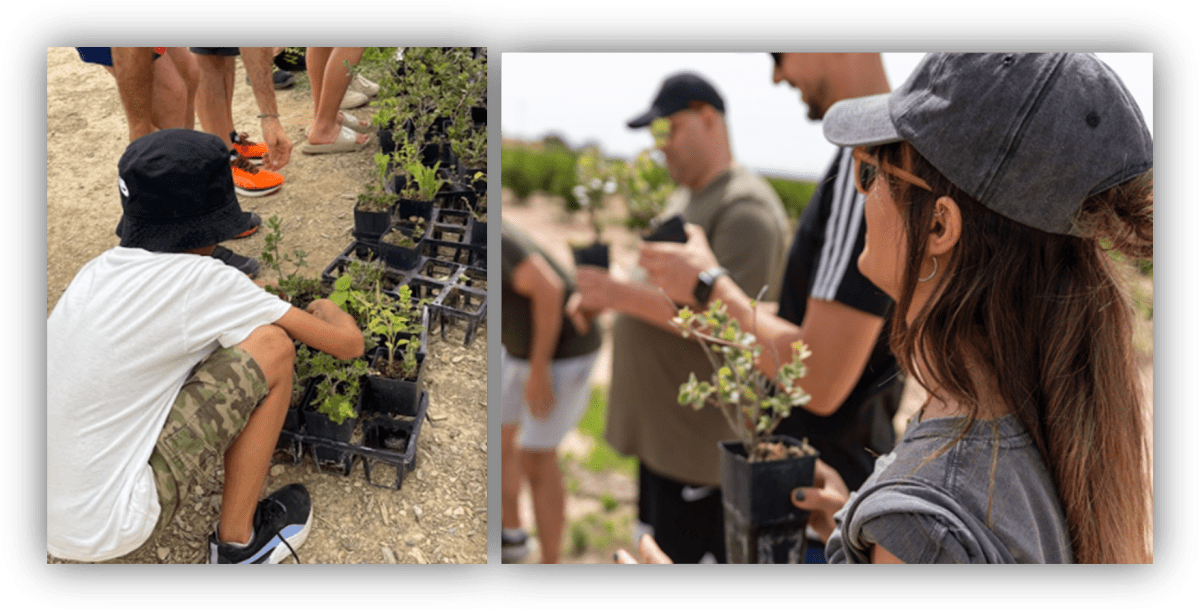 Personas participan en una actividad de reforestación manipulando plantas jóvenes en un entorno natural.