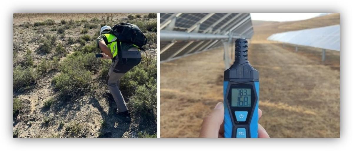 Trabajo de campo en una planta solar, con una persona inspeccionando el terreno y un medidor portátil frente a paneles solares