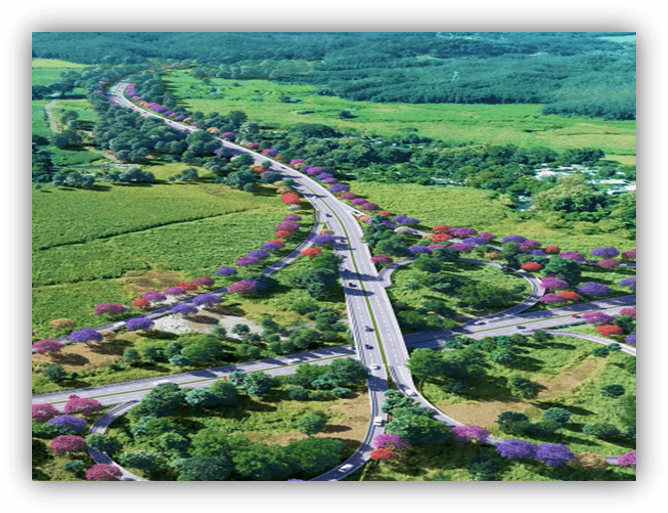 Vista aérea de una carretera que atraviesa un paisaje natural con vegetación y filas de árboles de colores a ambos lados.
