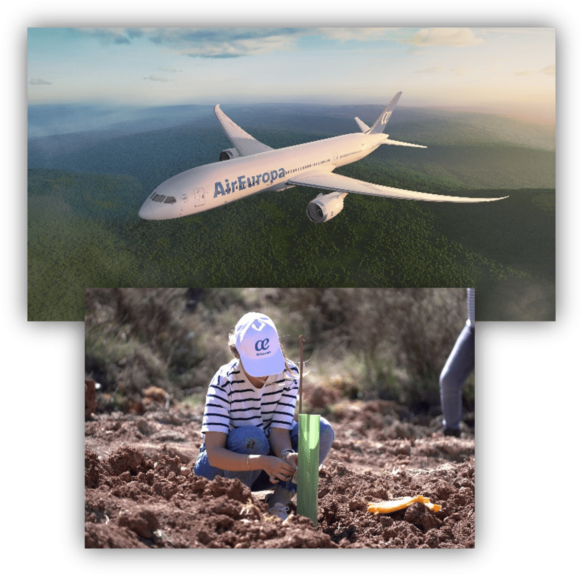 Avión de Air Europa volando sobre un paisaje natural y, debajo, una persona plantando un árbol en una actividad de reforestación.