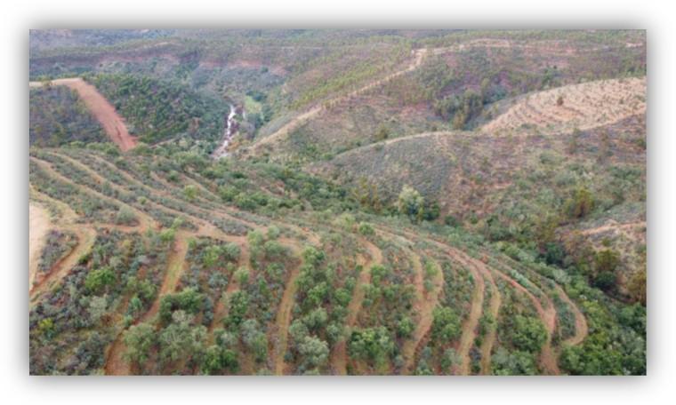 Vista aérea de un paisaje rural con plantaciones en terrazas y colinas cubiertas de vegetación.