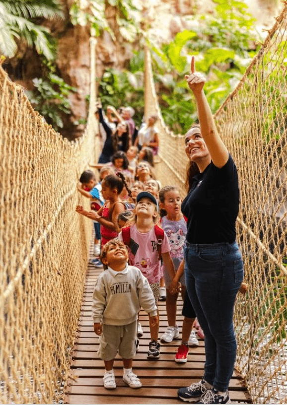 Un adulto y varios niños cruzan un puente colgante de cuerdas en un entorno natural. El adulto señala hacia arriba y los niños observan con curiosidad, rodeados de vegetación y rocas.