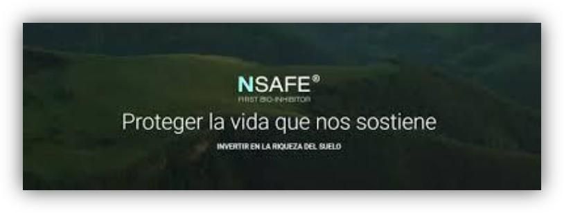 Imagen corporativa de NSAFE con el mensaje ‘Proteger la vida que nos sostiene’ sobre un fondo de paisaje natural en tonos verdes.