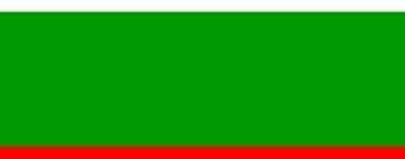 media-file-2163-bandera-bulgaria-eventos.jpg