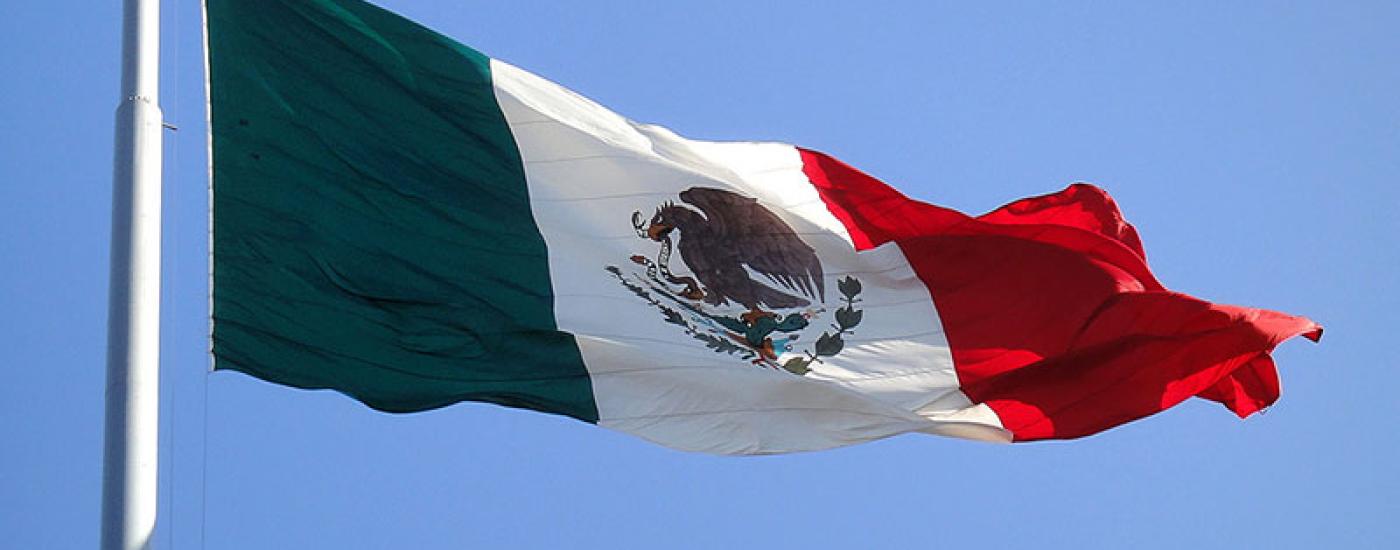media-file-206-bandera-de-mexico.jpg media-file-206-bandera-de-mexico.jpg