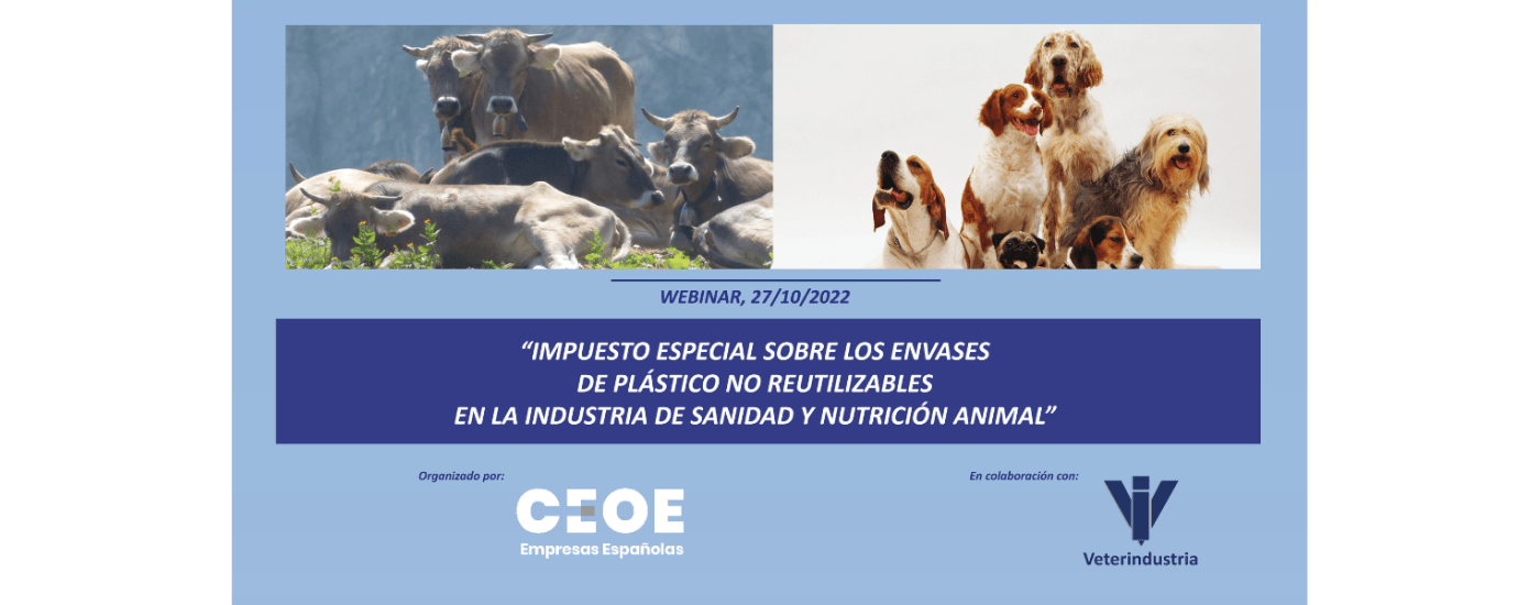 Veterinario