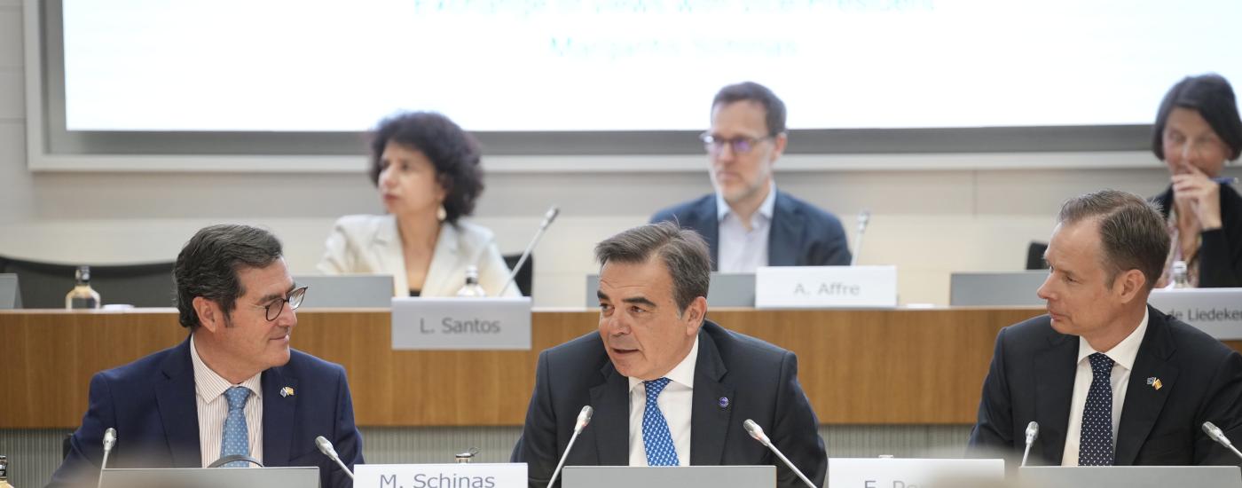 Schinas interviene ante el COPRES