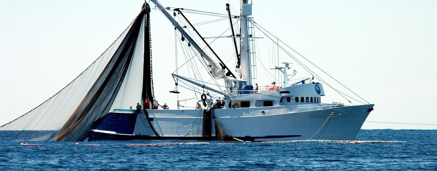 Barco pesquero faenando en el mar