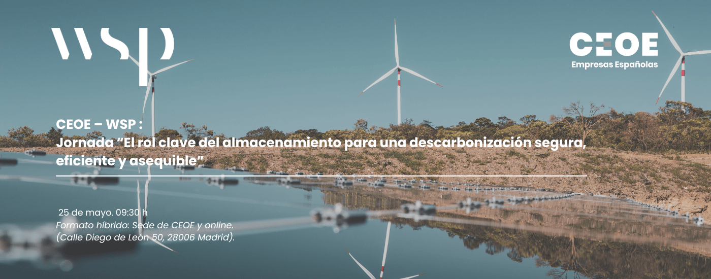 Ricardo WEB 