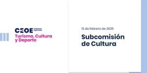 Subcomisión de cultura