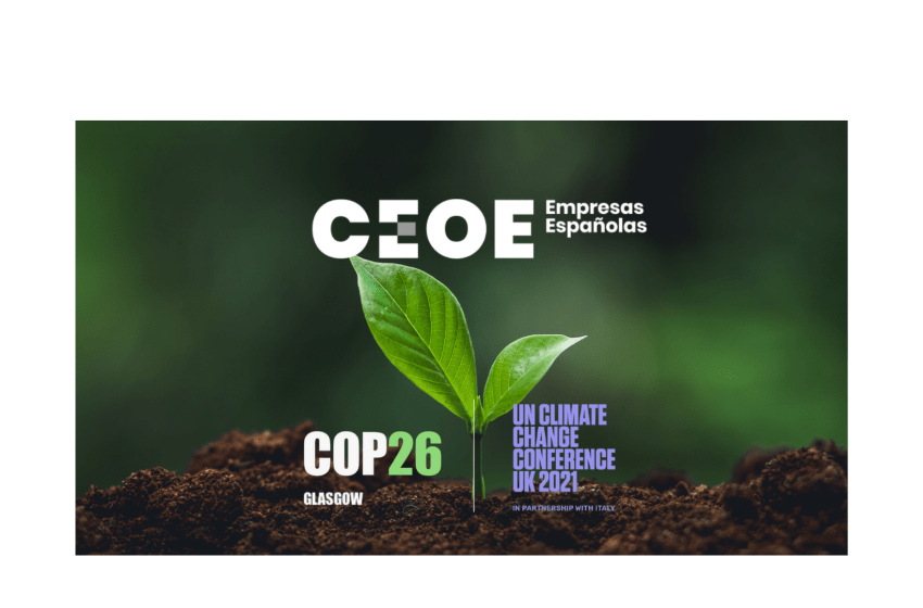 COP 26 III