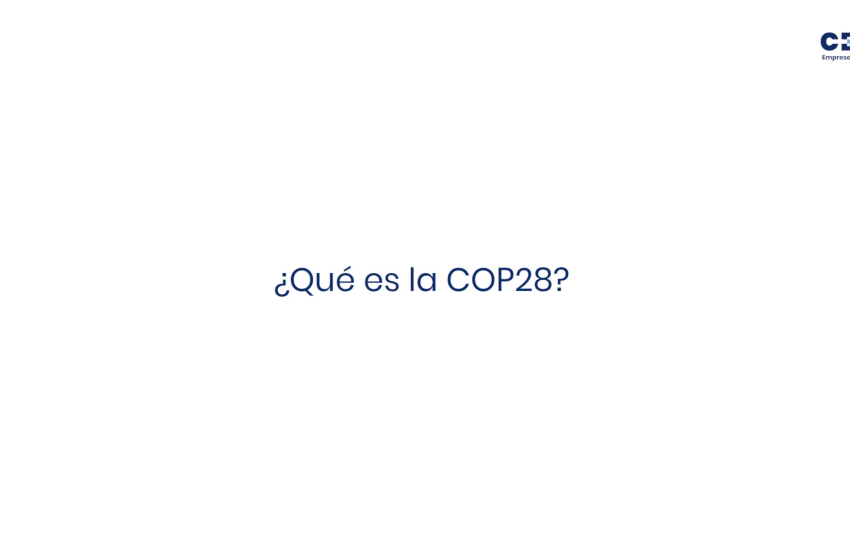 COP28 yt