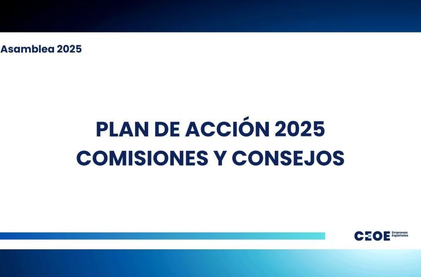 Plan de Acción 2025 Comisiones y Consejos