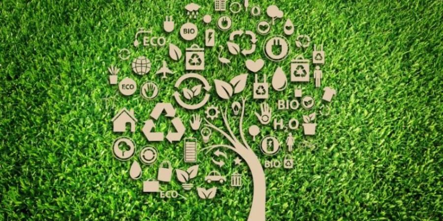 media-file-6014-economia-circular-y-sostenibilidad.jpg