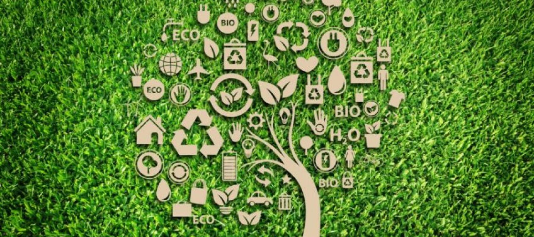 media-file-6014-economia-circular-y-sostenibilidad.jpg