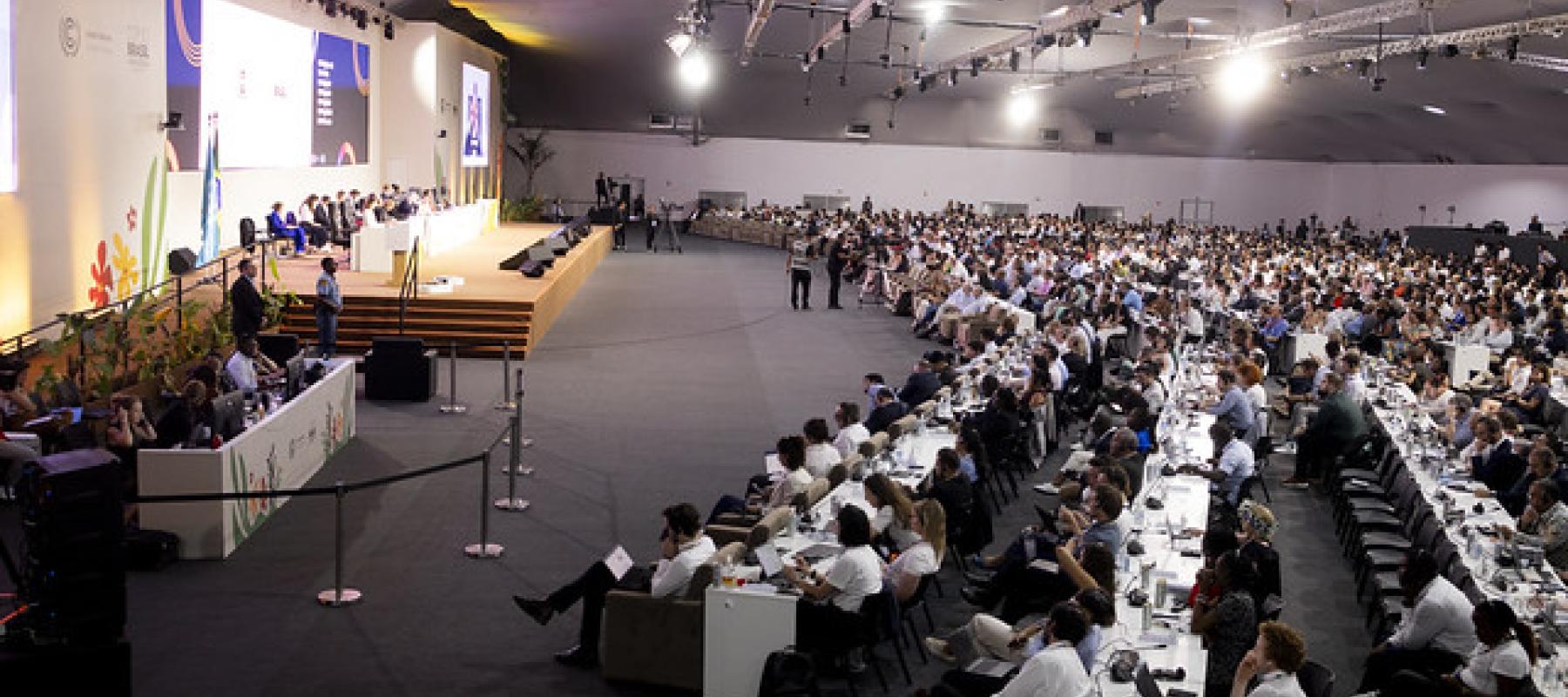 COP 30 Brasil Amazonia