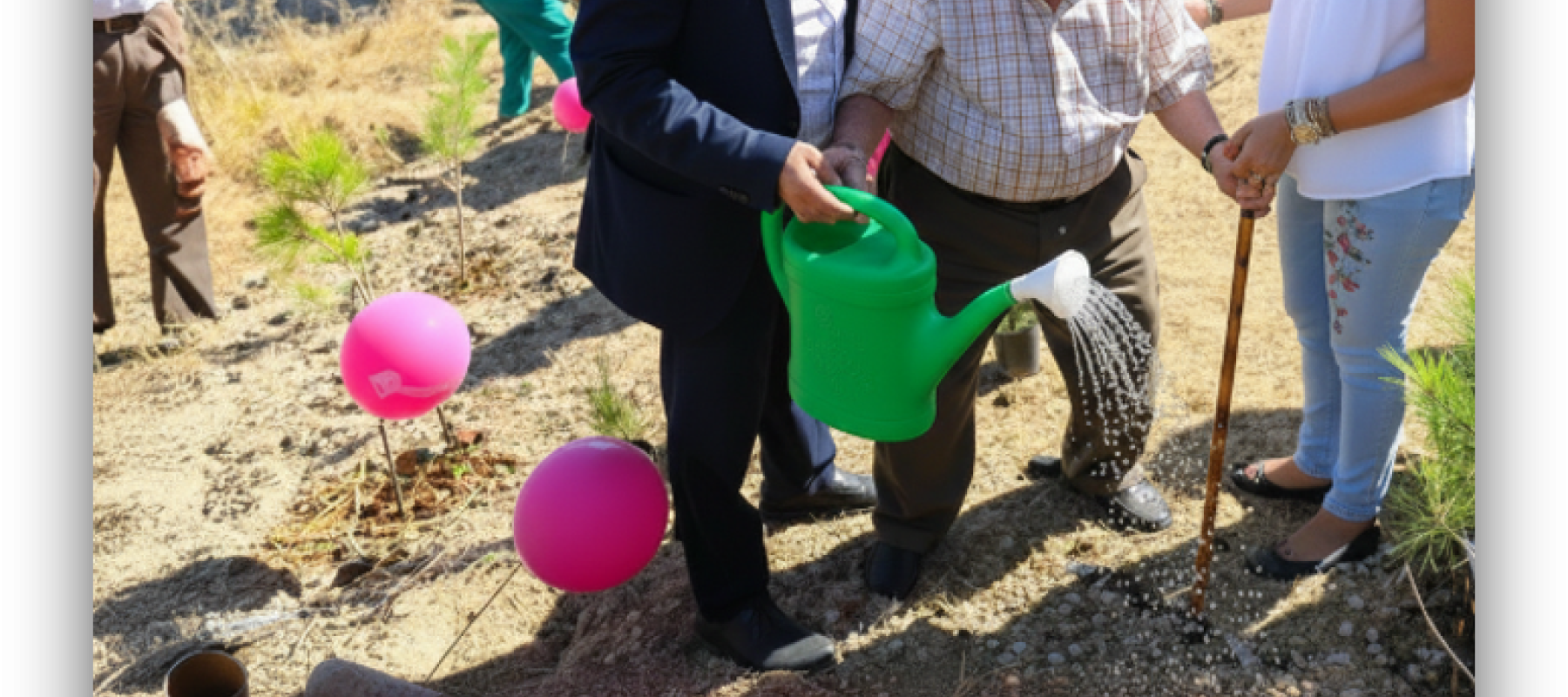 Personas participan en una actividad de plantación de árboles, regando un plantón en un entorno natural con globos rosas alrededor.