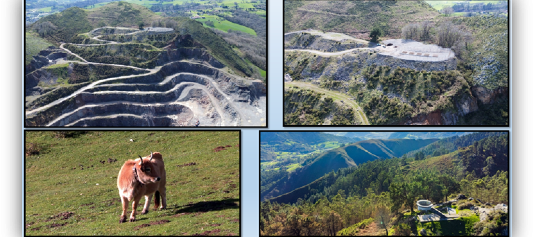 Composición de imágenes de una explotación minera restaurada, con bancales en una ladera, zonas revegetadas, una vaca pastando y un paisaje montañoso con vegetación.