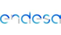 ENDESA Logo