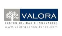 VALORA Logo