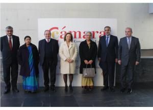 media-file-2958-foto-de-familia-de-los-participantes-en-el-foro-empresarial-espana-india.jpg