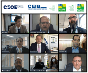 Participantes en el foro Goiás