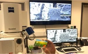 Tarjetas sostenibles Mastercard