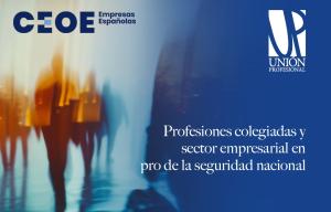 Profesiones colegiadas y sector empresarial en pro de la seguridad nacional